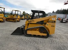 2020 GEHL RT165