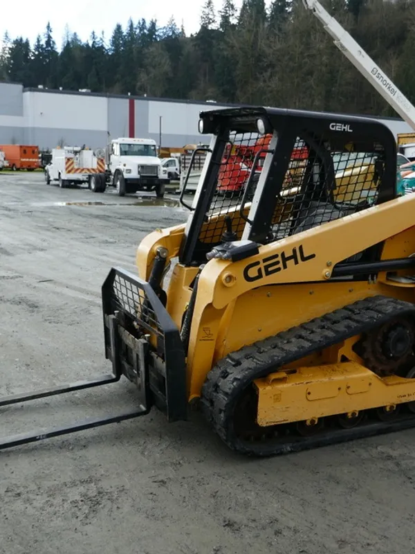 2020 GEHL RT165