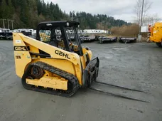 2020 GEHL RT165